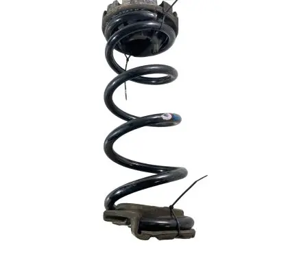 Nissan Murano Z52 Rear coil spring 550363JA0A 550205AA0C