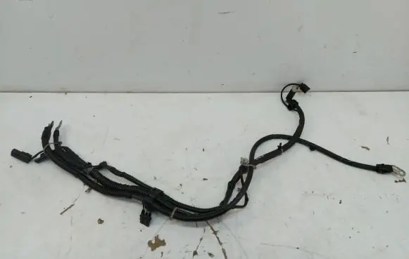 Mercedes-Benz B W247 Other wiring loom a1775405329