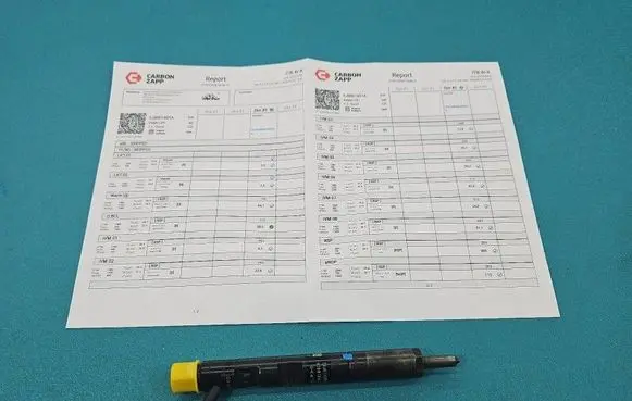 Renault Scenic II - Grand scenic II Fuel injector EJBR01801A IMPRK1543300
