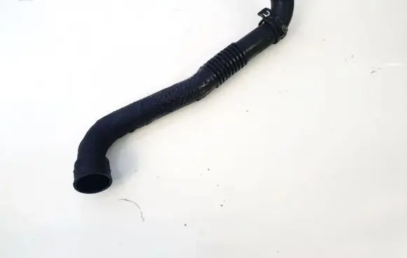 Volkswagen PASSAT B5.5 Breather hose/pipe 038103493ae