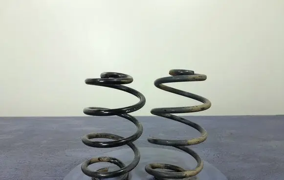 Renault Modus Rear coil spring