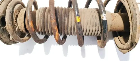 Hyundai Elantra Rear coil spring