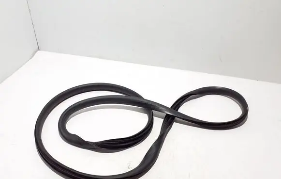 Renault Scenic E-Tech V Front door rubber seal 769222423R