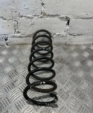 Ford Focus Rear coil spring