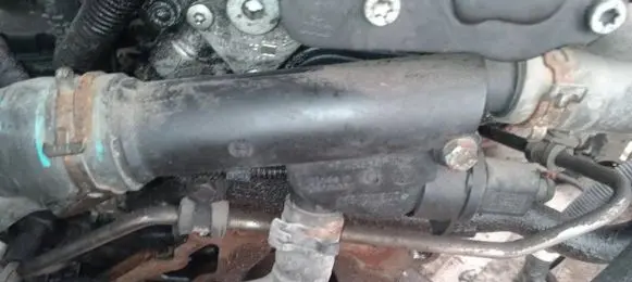 Volkswagen Golf V Engine coolant pipe/hose 038121132D
