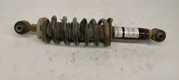 Citroen C5 Rear shock absorber with coil spring 315121