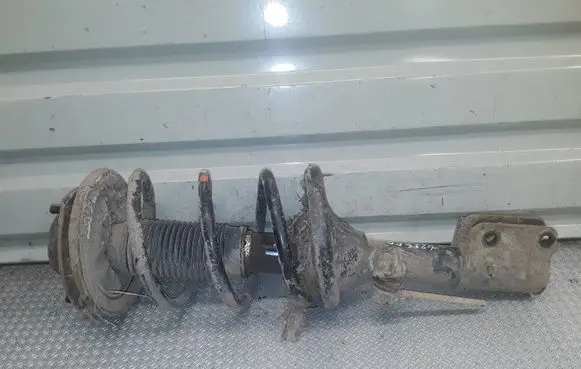 Hyundai Santa Fe Front shock absorber with coil spring 