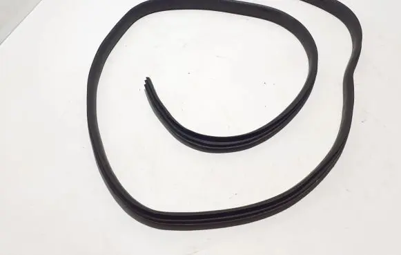 Dacia Logan II Rear door rubber seal (on body) 769247138R