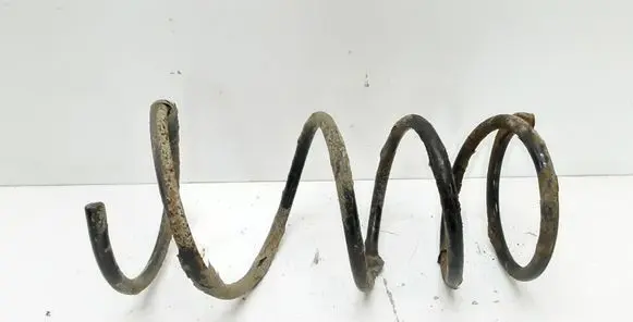 Toyota RAV 4 (XA20) Front coil spring
