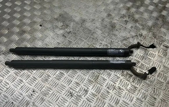 Tailgate strut