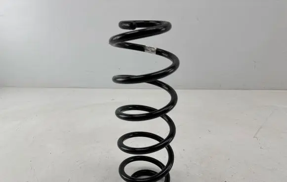 Rear coil spring