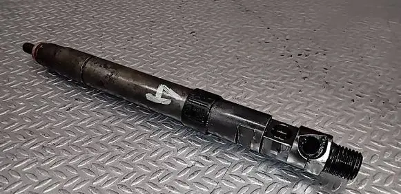 Citroen C5 Fuel injector 9686191080