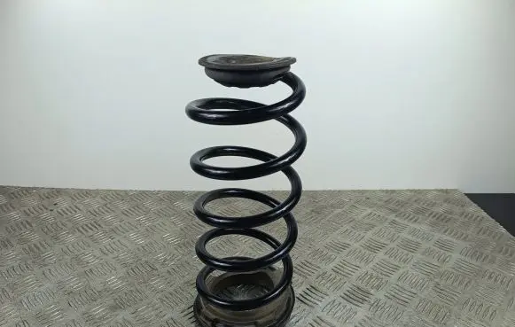 MG ZS Rear coil spring