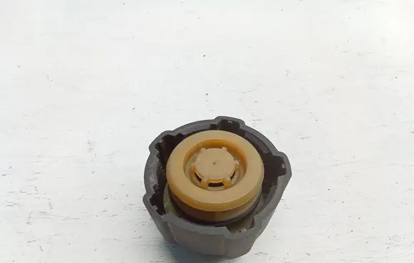 Renault Scenic I Coolant expansion tank/reservoir cap 