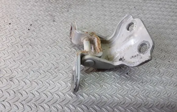 Hyundai Terracan Rear door lower hinge