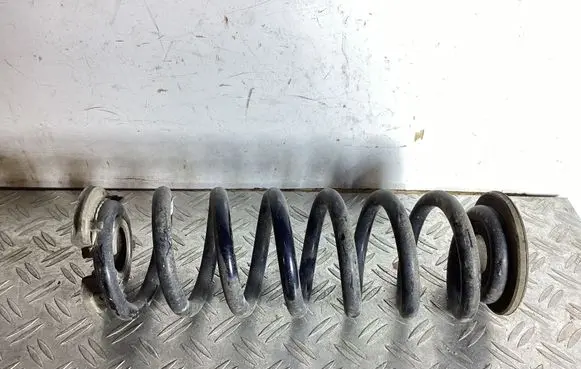 Rear coil spring