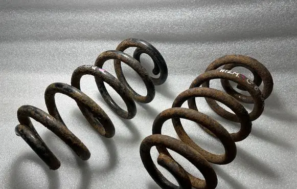 Rear coil spring