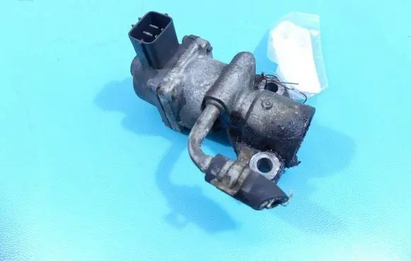 EGR valve