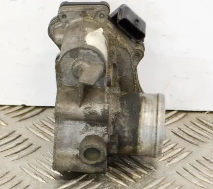 Renault Master III Throttle valve 8200987453B