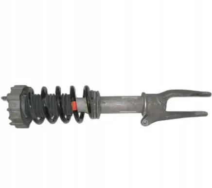 Porsche Panamera (970) Front shock absorber with coil spring 97034303182