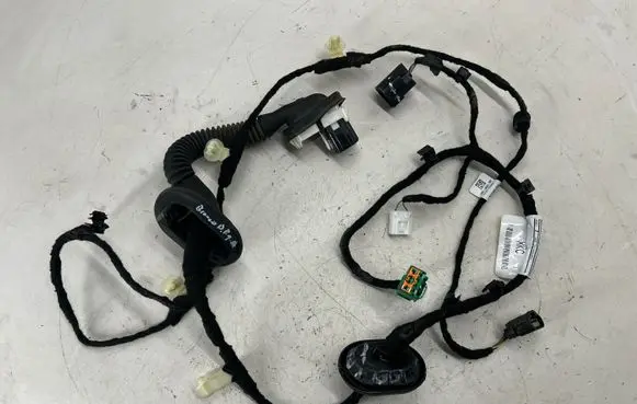 Rear door wiring loom