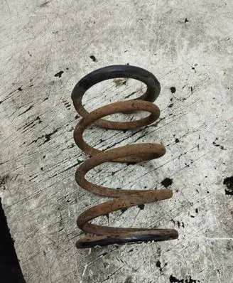 Rear coil spring