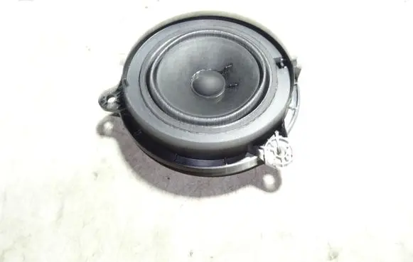 Rear door speaker