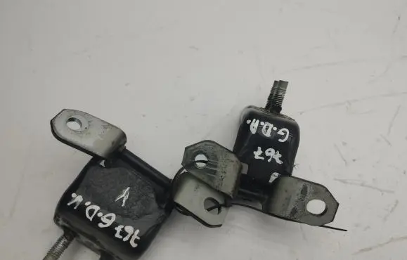 Suzuki Vitara (LY) Rear door hinge set 