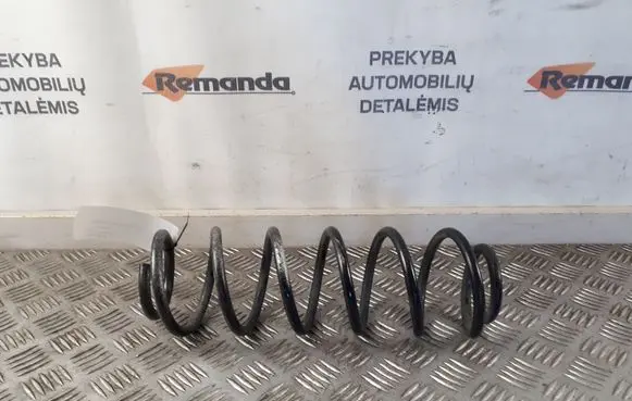 Rear coil spring