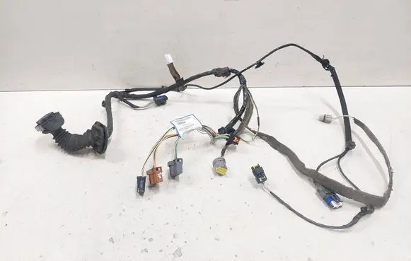 Renault Espace - Grand espace IV Front door wiring loom 8200782224 00607