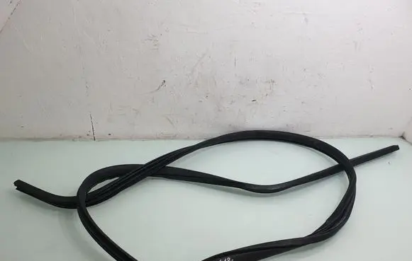 Dodge Grand Caravan Front door rubber seal 