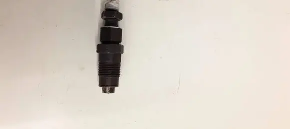 Mitsubishi Pajero Fuel injector