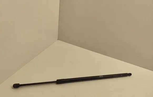 Tailgate/trunk strut/damper