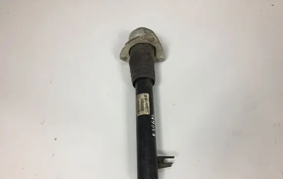 BMW X5 E70 Rear shock absorber/damper 6781921