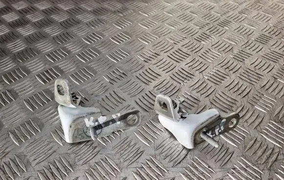 Ford Focus Front door hinge set 