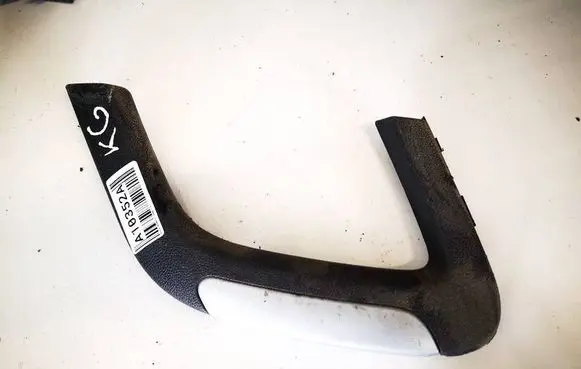 Other rear door trim element