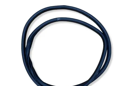 Nissan Juke I F15 Rear door rubber seal (on body) 