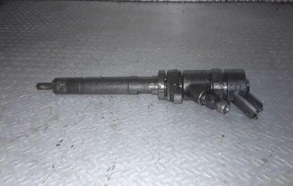 Volvo V50 Fuel injector 0445110259