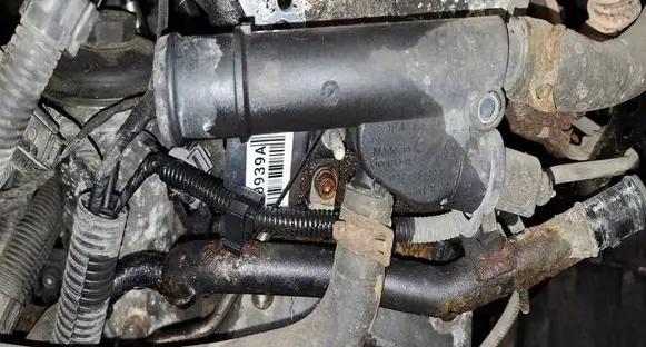 Volkswagen Polo IV 9N3 Engine coolant pipe/hose 038121132D