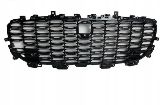 Jaguar F-Type Front grill MX53-17F791-AF-PIA