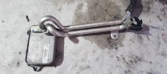 Volkswagen Eos Engine oil radiator 03C117021Joe