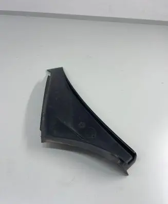 Rear/tail light trim molding