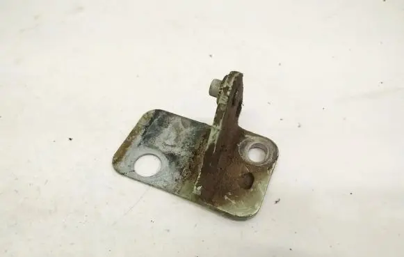 Rear door lower hinge