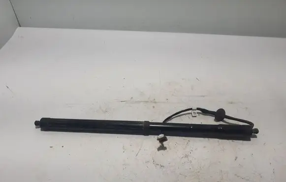 Tailgate strut