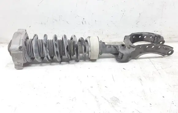 Porsche Cayenne (9PA) Front shock absorber with coil spring