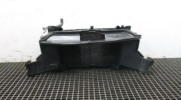 Nissan Leaf I (ZE0) Radiator set 214813NL1B
