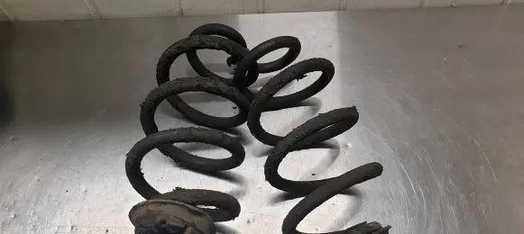 Nissan X-Trail T31 Rear coil spring