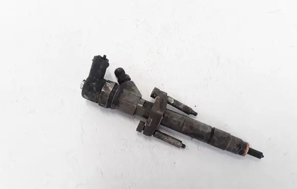 Renault Espace - Grand espace IV Fuel injector 8200084534