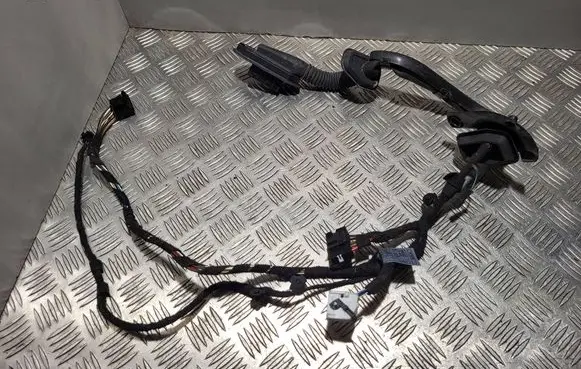 BMW 7 E65 E66 Front door wiring loom 13318810 11F33550 695037801