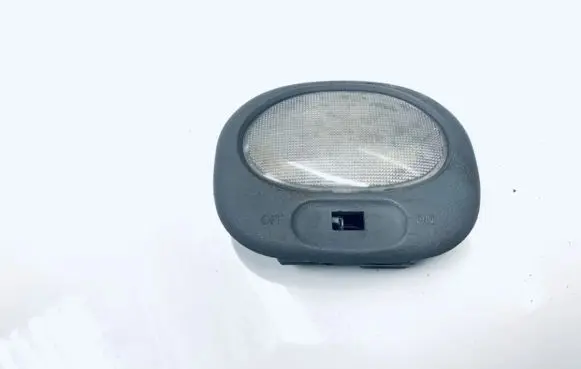 Rear seat light
